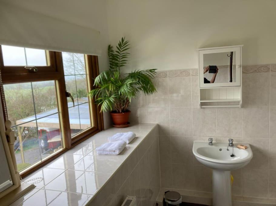 Bryntirion Farmhouse Rooms Llanfair Caereinion Bagian luar foto